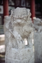 stone statues, Xian China 1